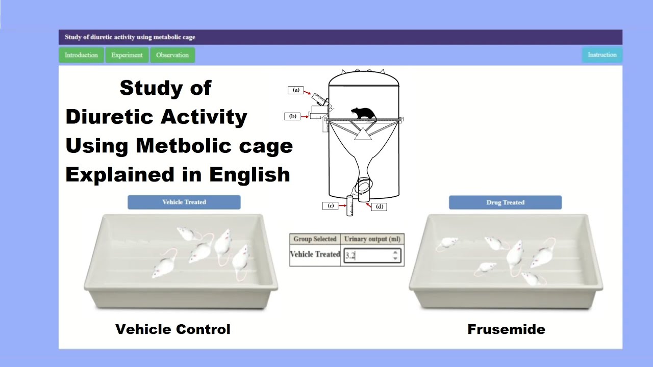 Study of Diuretic Activity of Given Drug Using Metabolic Cage | Ex-Pharm Simulation Software