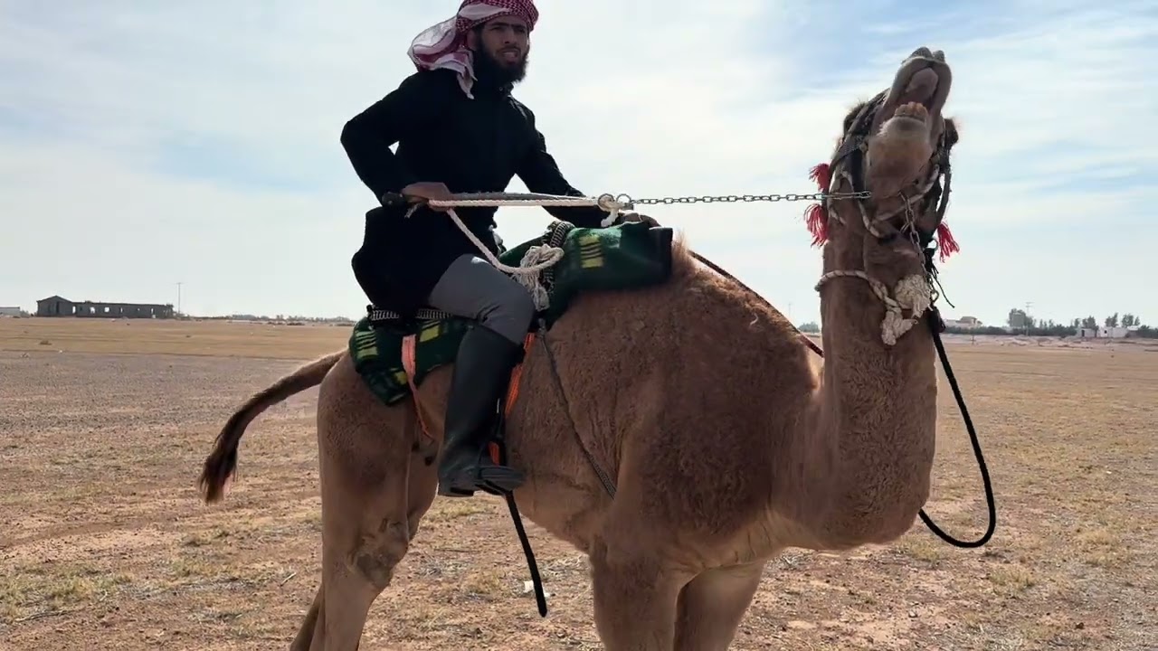 ركوب حر وهج بي ومعلومات راح تفيدك بذن الله 