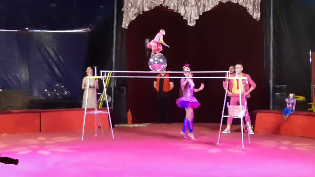 Цирк Шапито Империя Хищников на Иркутском Тракте 60 Томск