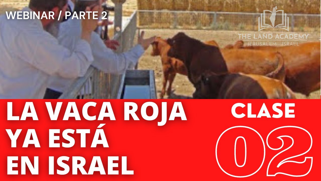 Rumbo al Templo de Jerusalén Parte 2 de 4