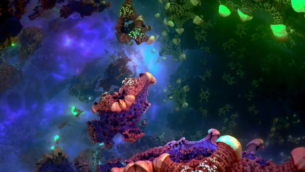 What life feels like for Starfish [3D Fractal Trip] 