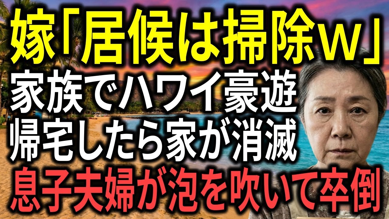 底辺扱いして私を掃除婦にした嫁「ハワイ最高ｗ」と成田で自慢→帰宅後、家が消滅し夫と息子夫婦が泡を吹いて卒倒。家を壊して売却した結果ｗ
