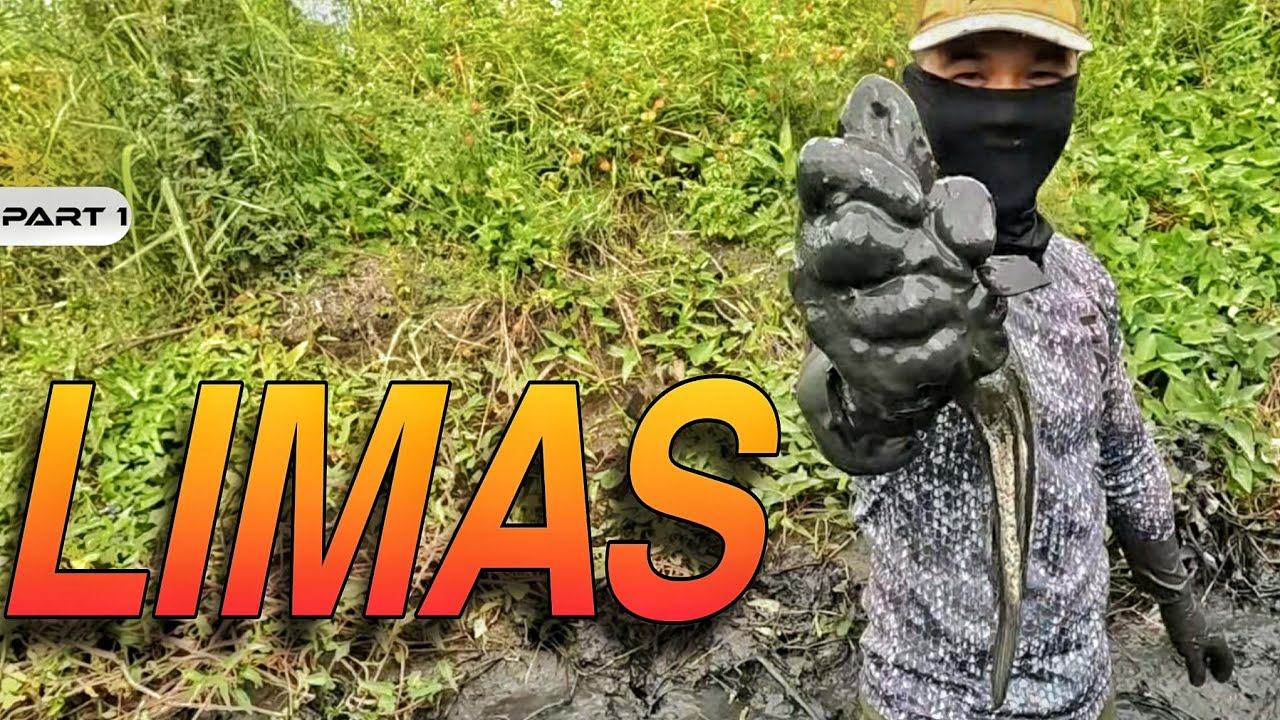 P1 - NANLIMAS NG SAPA