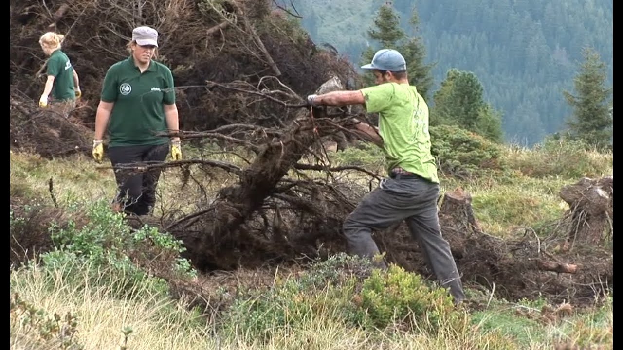 Freiwillige Helfer auf der Alm - Es gibt viel zu tun - Ein Film der Tirol Werbung