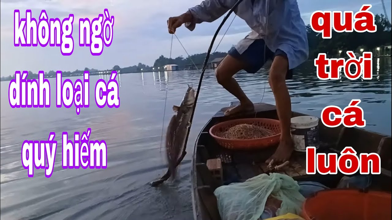 Thăm Câu Lúc Trời Rạng Đông , Hai Ông Cháu Không Ngờ Dính 2 Loại Cá Hiếm Thấy # SĂN BẮT ĐỒNG THÁP #