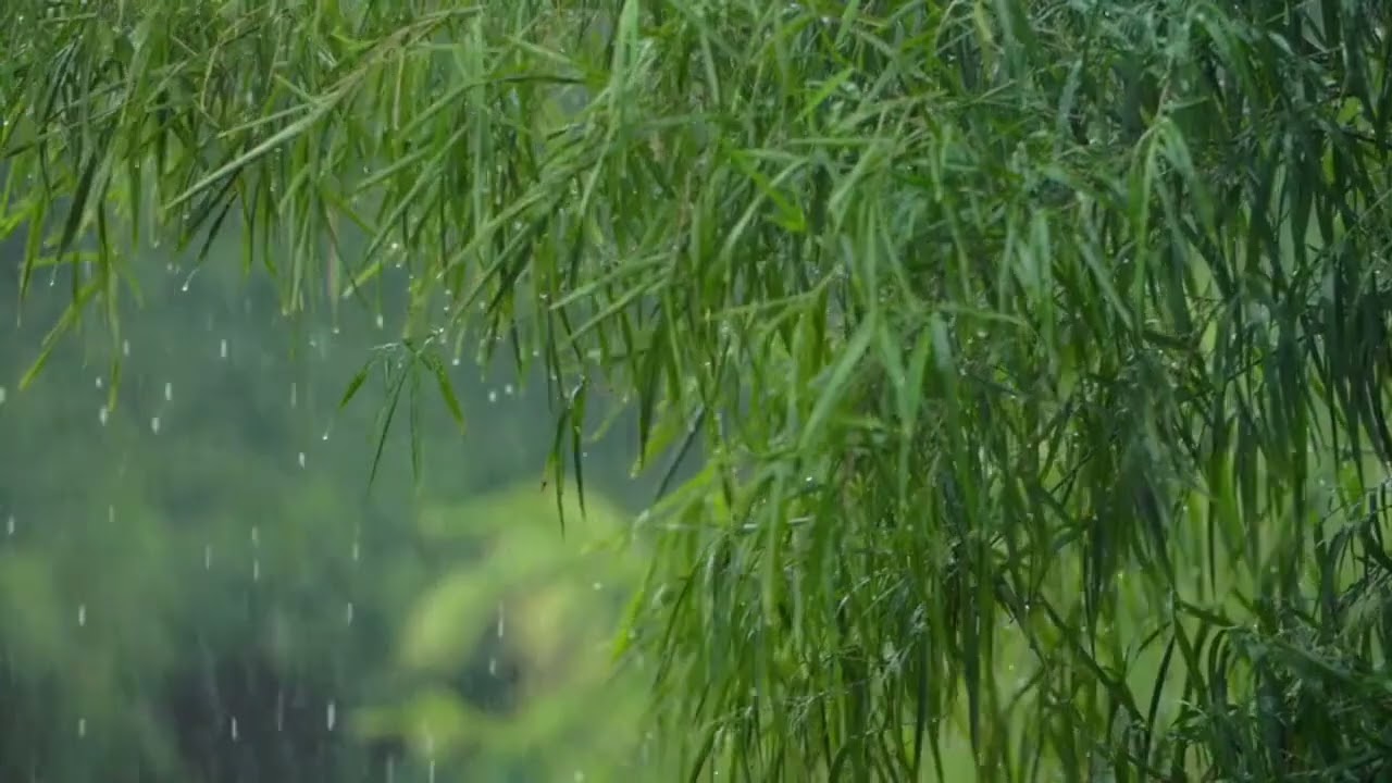 Rain & Violin Music That Melts Stress Instantly &ndash; Try It Now!