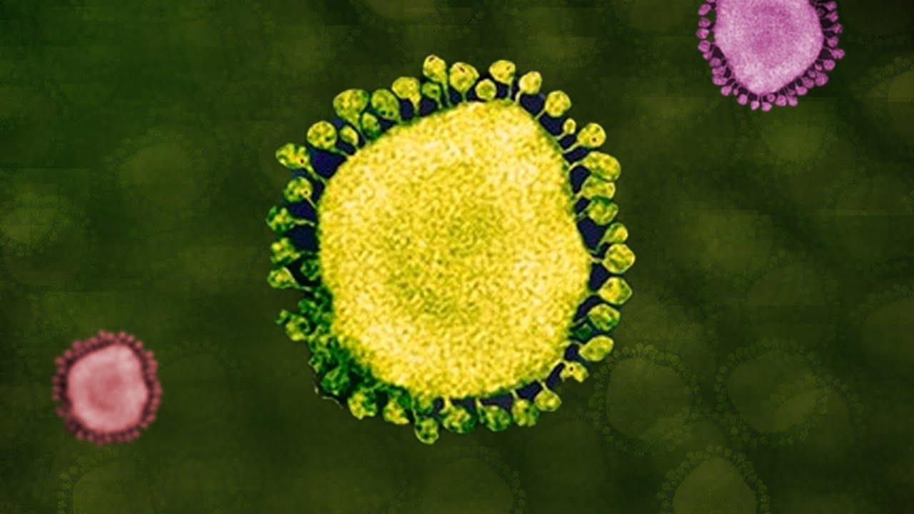 What (Hydroxy)chloroquine Does To The Body