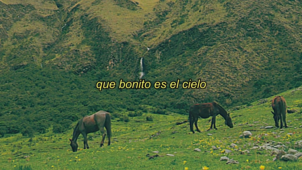 zerloh - que rara vida ┃𖤣𖥧CANCIÓN DE FOLK EN ESPAÑOL𖥧𖤣┃