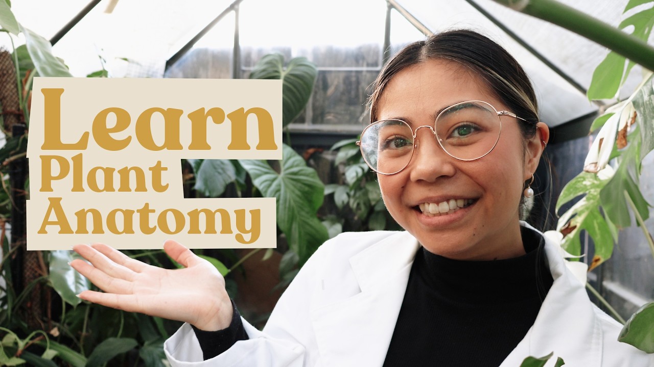 Let's Learn Plant Anatomy | Plant 101