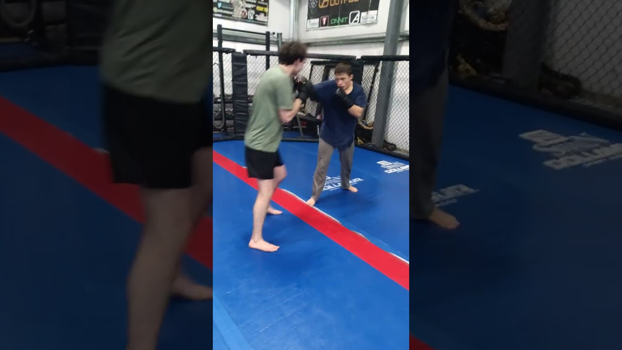 Play full MMA sparring 