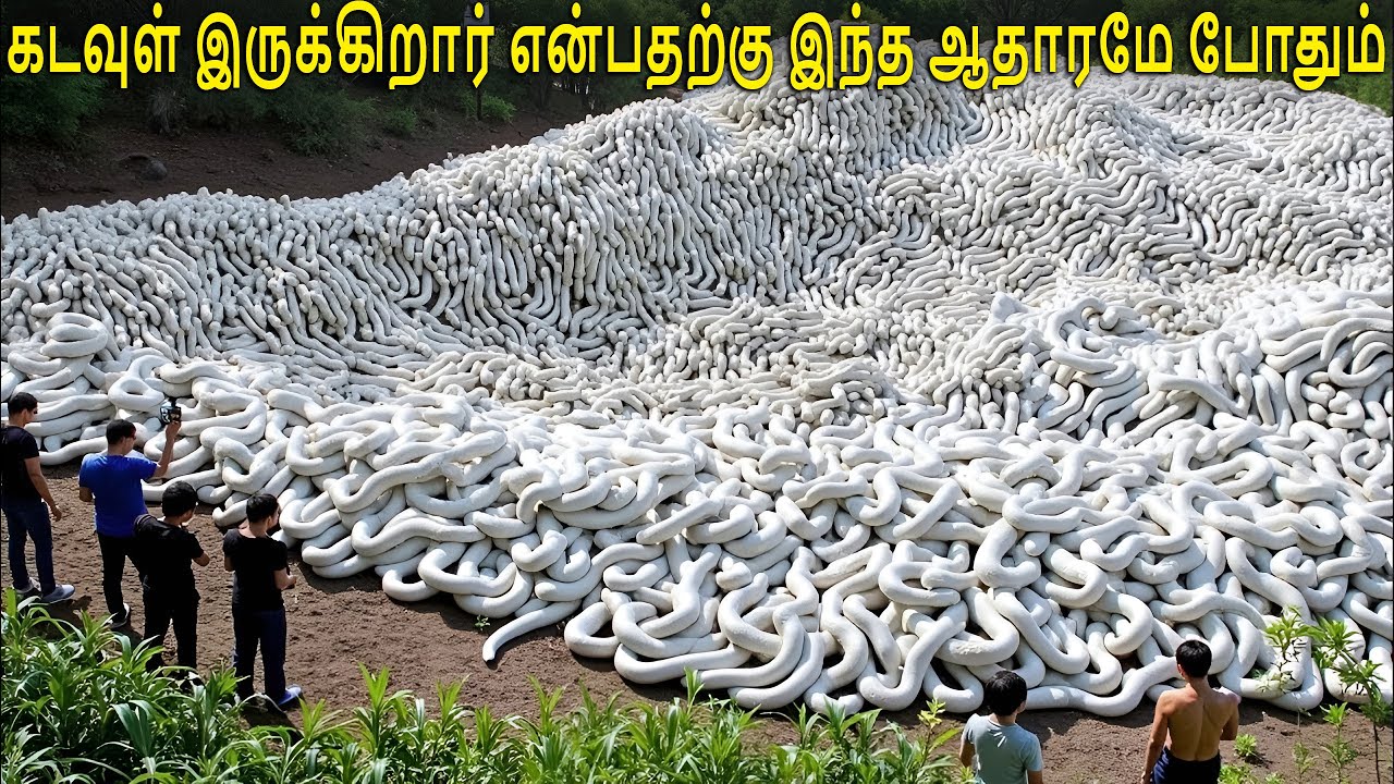 கடவுள் இருக்கிறார் என்பதற்கு இந்த ஆதாரமே போதும் | Mysterious Places In The World | Unique Thamizhan