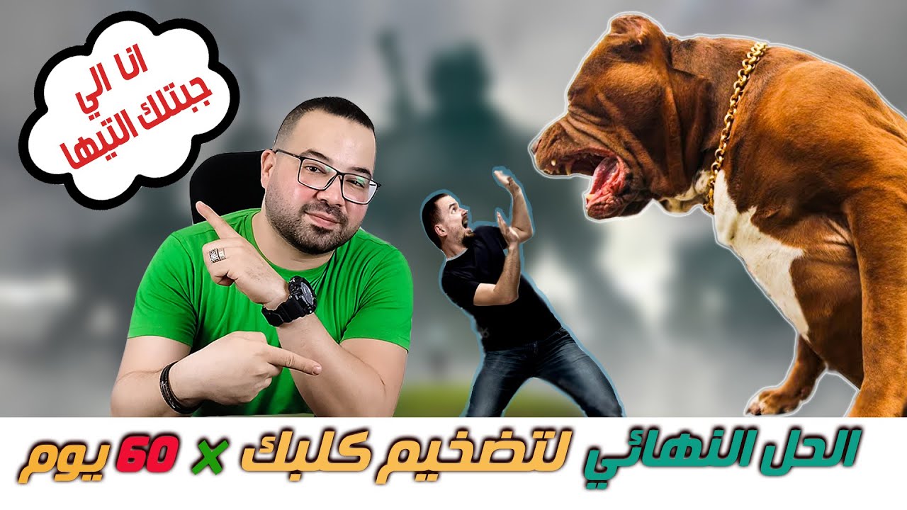 الحل السحري والنهائي لضخيم كلبك ـ نظام كامل متكامل
