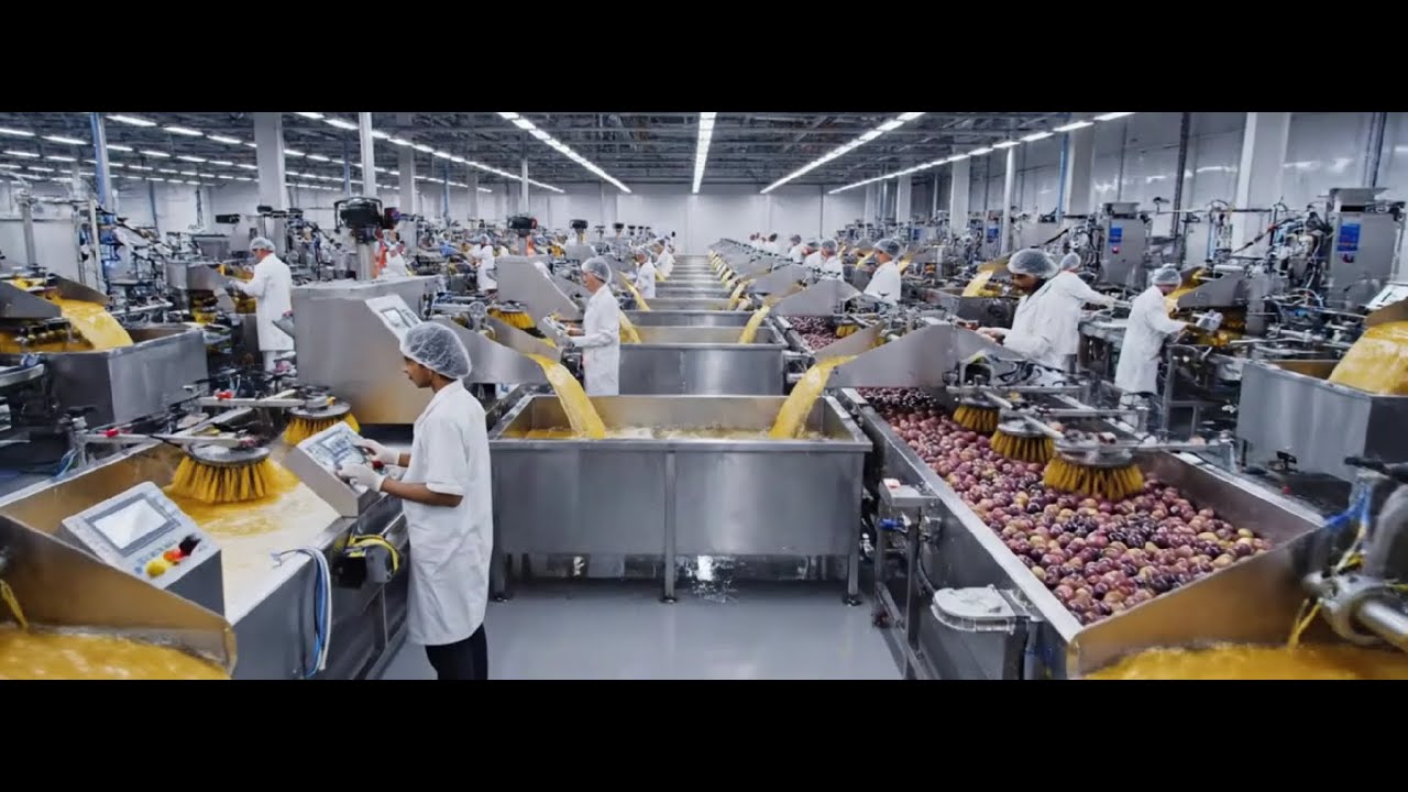 How Brazil Produces the World’s Largest Passion Fruit Juice Supply | Inside a Mordan Factory