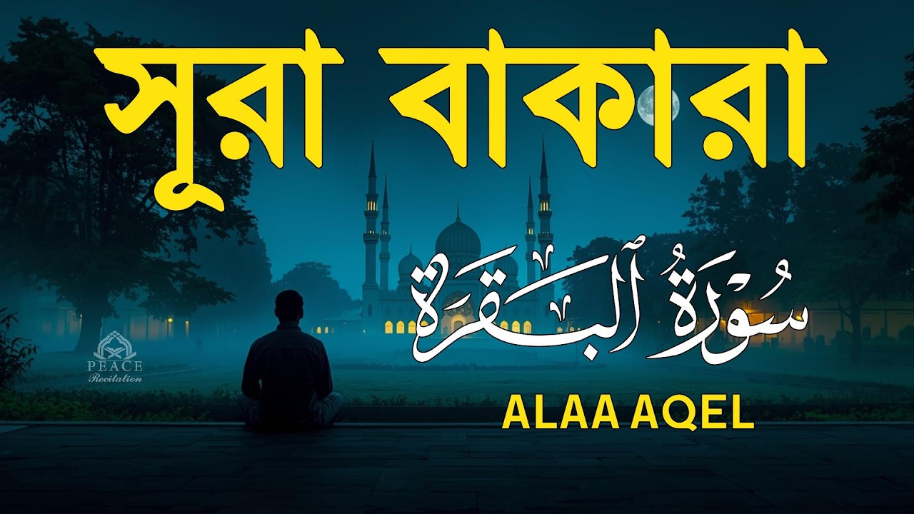 ঘরের উন্নতির জন্য সূরা বাকারা প্রতিদিন শুনুন । Surah Al Baqarah Full Quran Recitation | Alaa Aqel