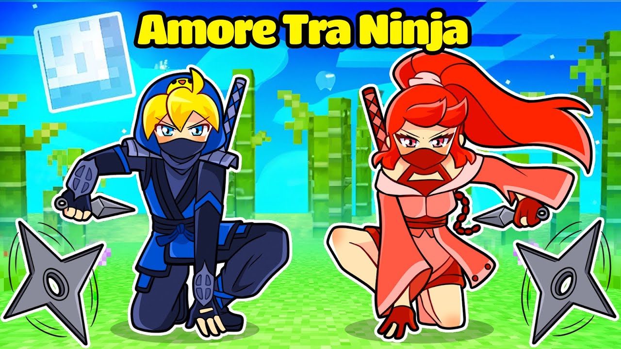 SE SBRISER NINJA AMASSE ZOE NINJA Su Minecraft!