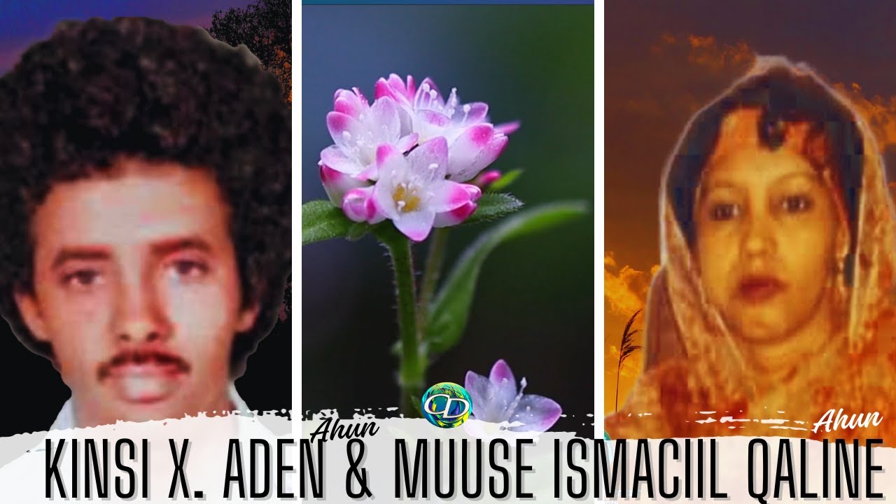 Kinsi X  Adan Ahun & Muuse Ismaciil Qalinle Ahun | Heesta Horawayn