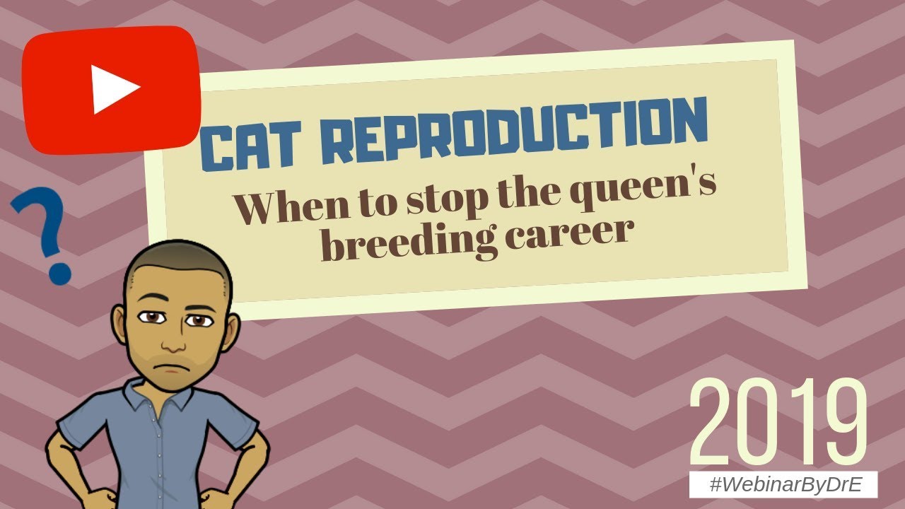 The Cat Reproductive Career : In Females, Don't Breed Too Late (2019)