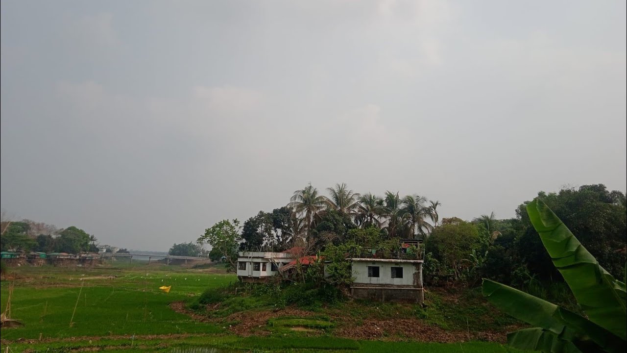 চারিদিকে কনকনে শীতের হাওয়া