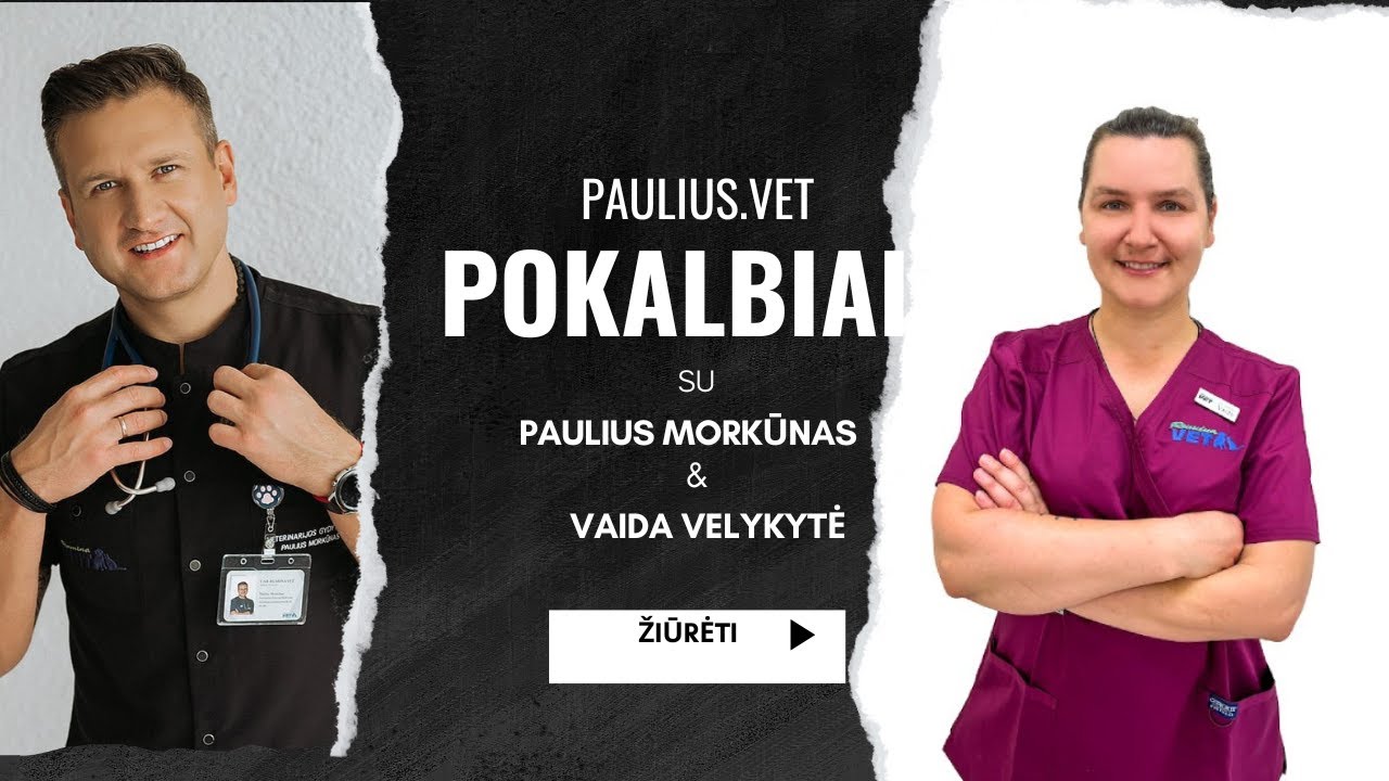 Pauliusvet #9 Svečiuose gyvūnų dermatologė Vaida Velykytė