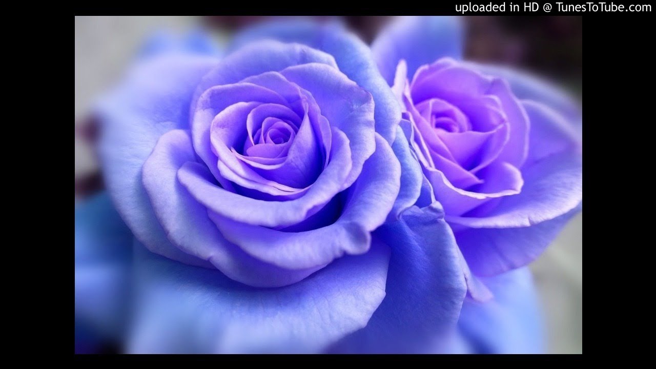 8. Eres tú el príncipe azul (La bella durmiente). Versión. Cover. AZUL MARYOLA.