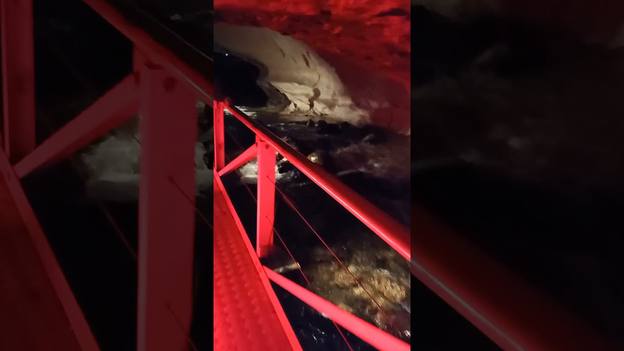 Fiordland National Park - trip to Te Anau Glowworm Cave