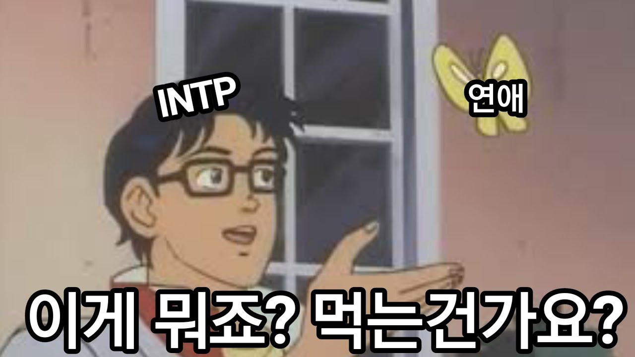 INTP 사용설명서 26.연애를 안하고 못하는 이유와 연애에서 원하는것
