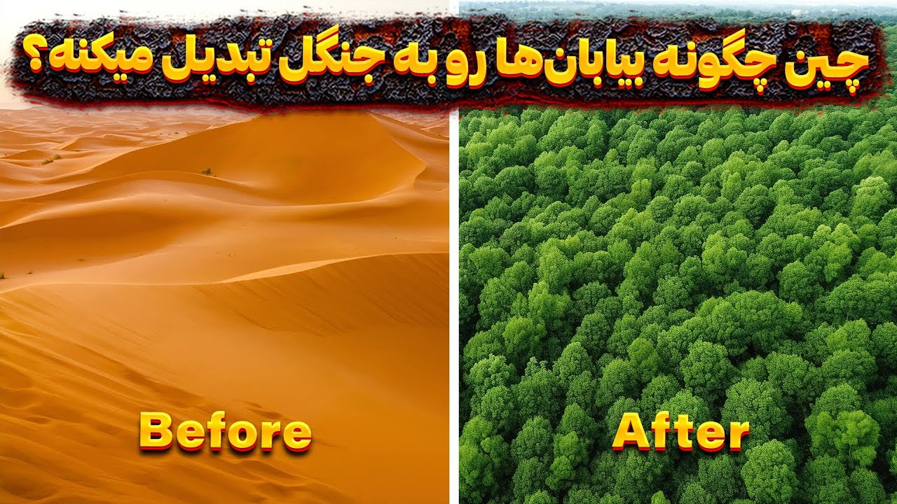 چین چگونه بیابان‌ها رو به جنگل تبدیل میکنه؟
