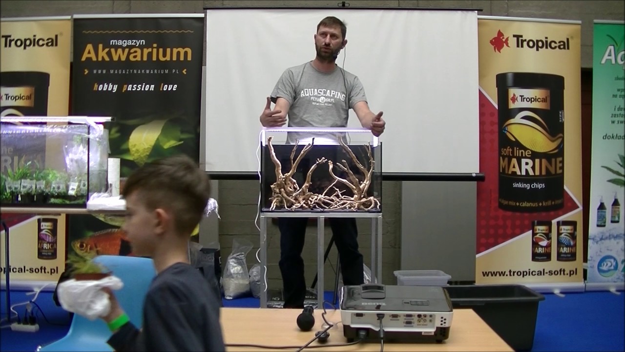 Pokaz zakładanie akwarium nature - Marcin Wnuk, Zoobotanica 2016, Cześć I