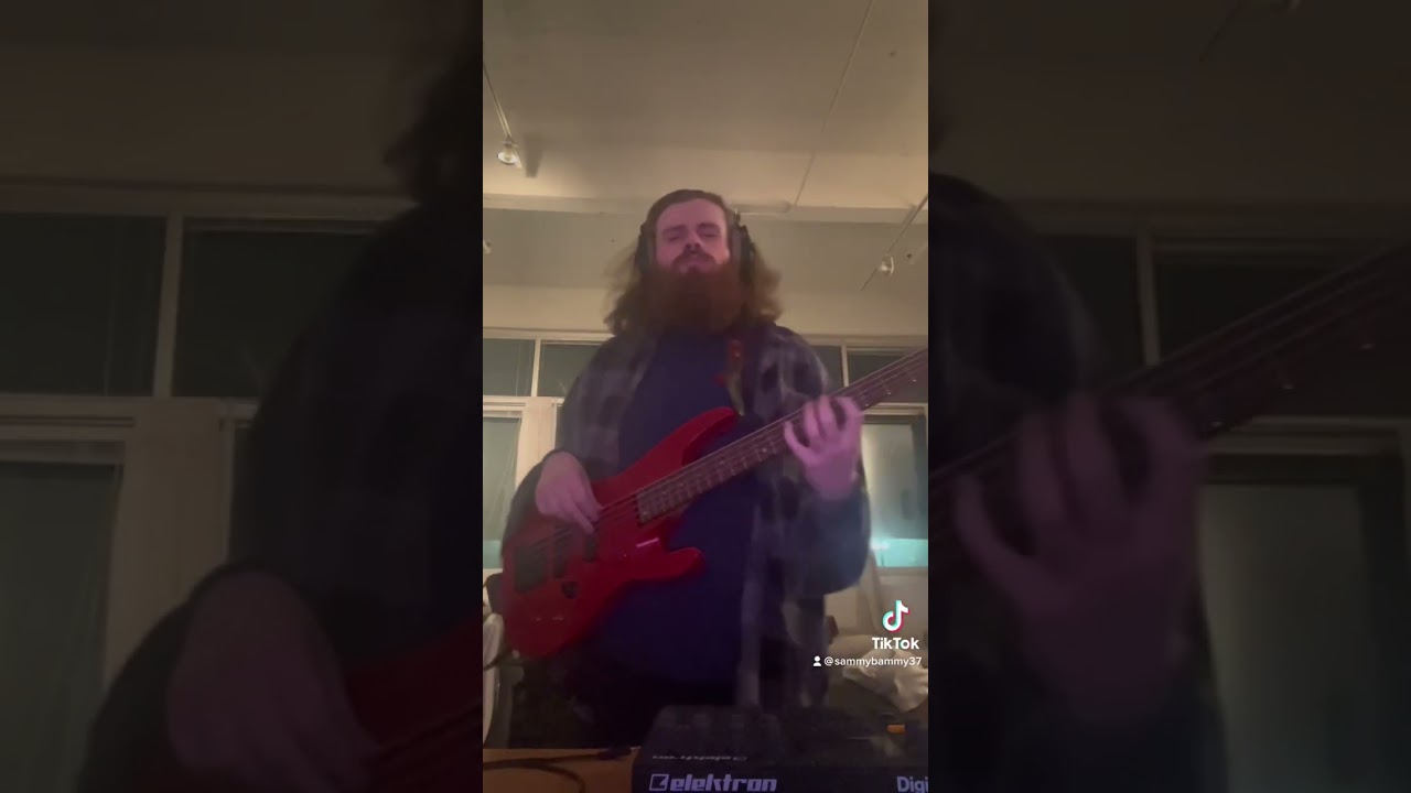 Aria Pro ii magna bass mellow jam