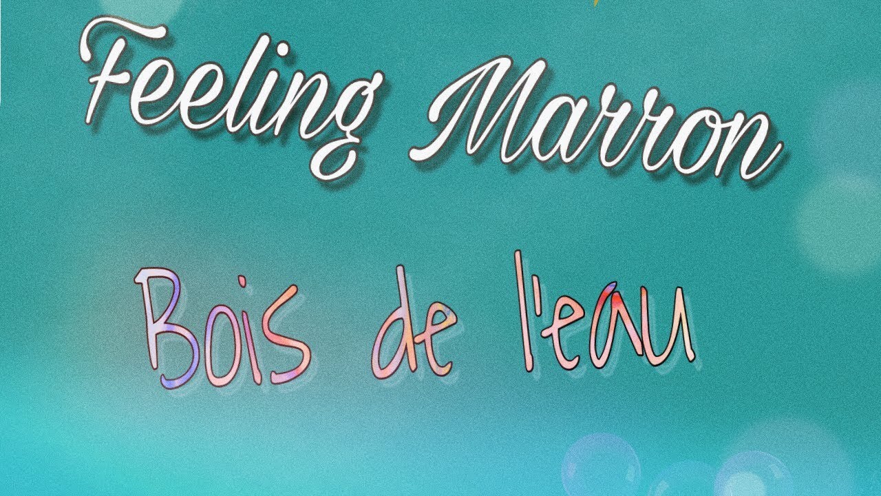 Bois de l'Eau - Feeling Marron ( Patrick Pers&eacute;e)