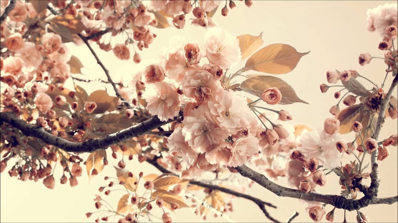 Gott ist real - christliches Lied