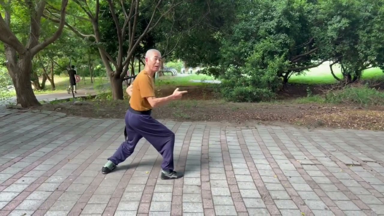 【武學定義 系列19】如何判斷是打假拳 還是打真拳？（要學會看出拳的真假 ！）.