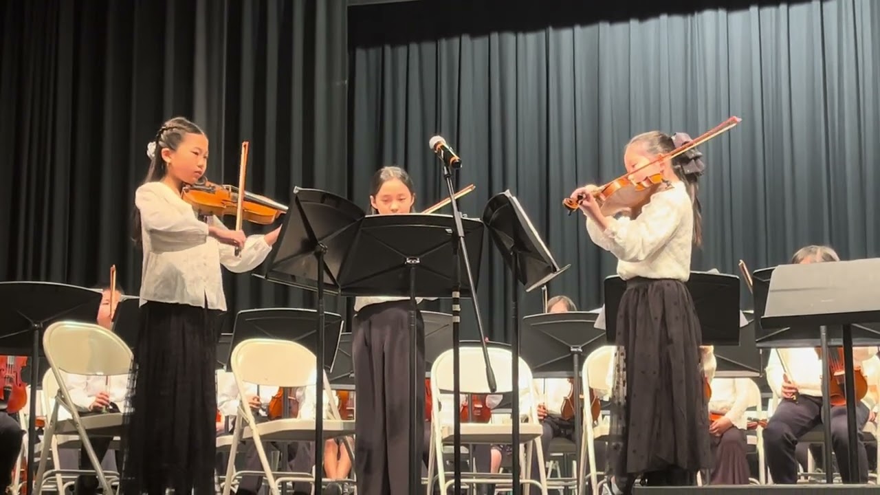 The Irish Washerwoman - Violin Trio