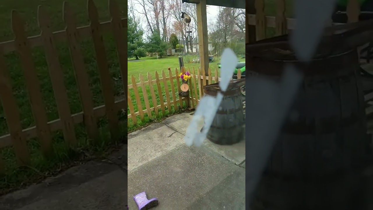 Nature's beauty: a moment of appreciation#nature #beauty #simplethings #appreciation