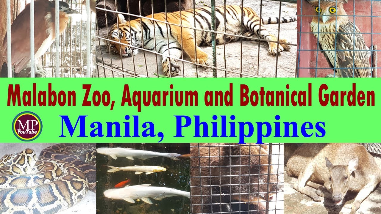 Malabon Zoo, Aquarium and Botanical Garden l Manila l Philippine l Sightseeing l Travel Destinations