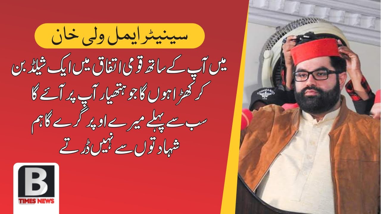 I Will Be a Shield for National Unity  | 𝐒𝐞𝐧𝐚𝐭𝐨𝐫 𝐀𝐢𝐦𝐚𝐥 𝐖𝐚𝐥𝐢 𝐊𝐡𝐚𝐧|  Powerful Speech