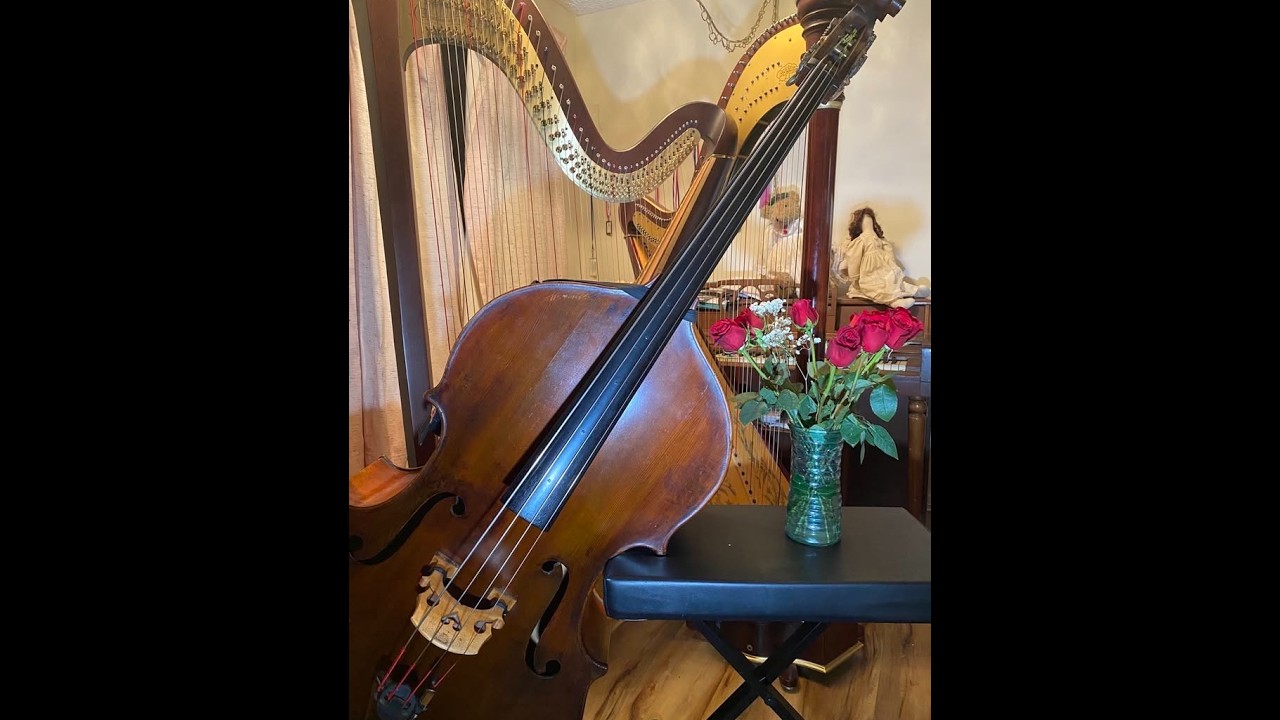 Vojta Kuchynka-Romance, Op. 23, for harp and double bass