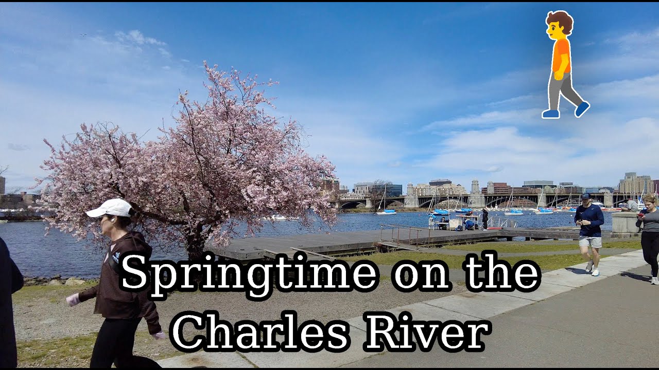 🌸 Spring Walk on the Charles River Esplanade Boston to Kendall Square Cambridge