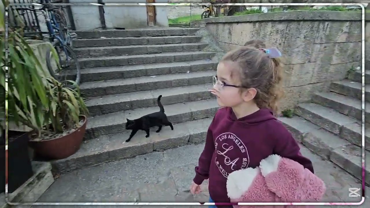 Bora & Trinjaket - Vizitojn disa pjesë të qarshisë së Shkupit dhe Kalanë