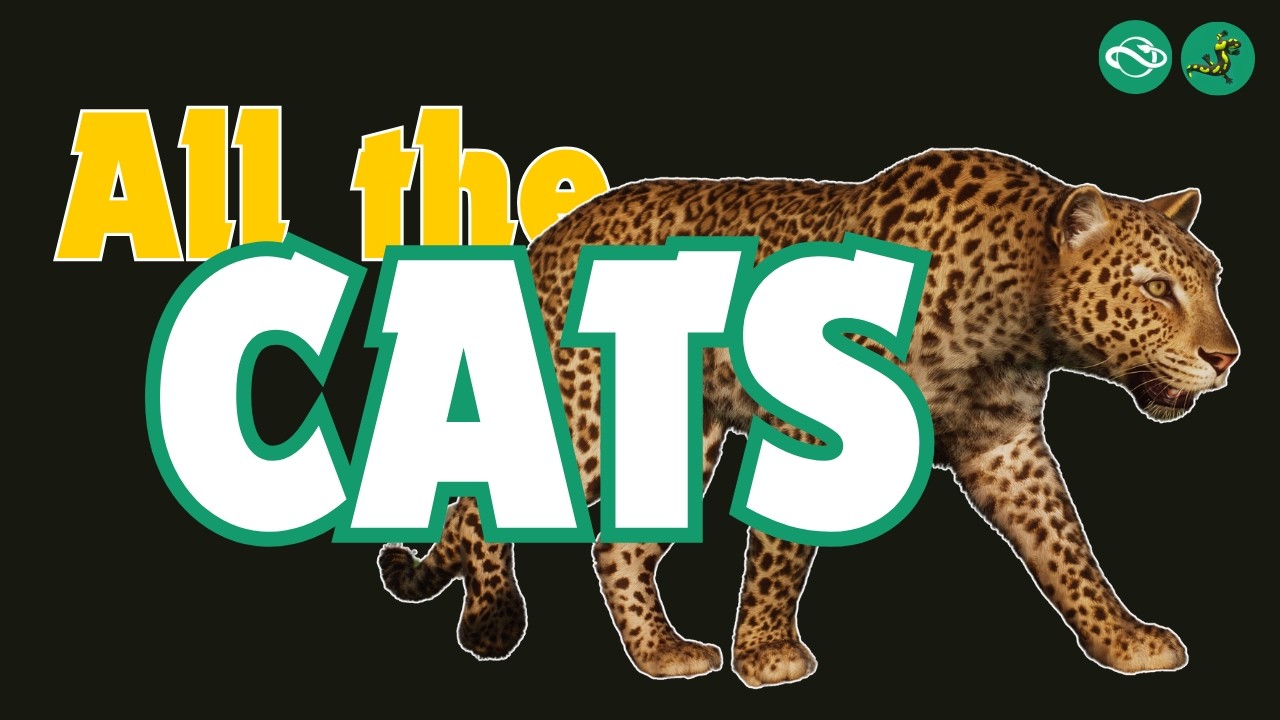 Every Cat in Planet Zoo 🦁🐯🐱
