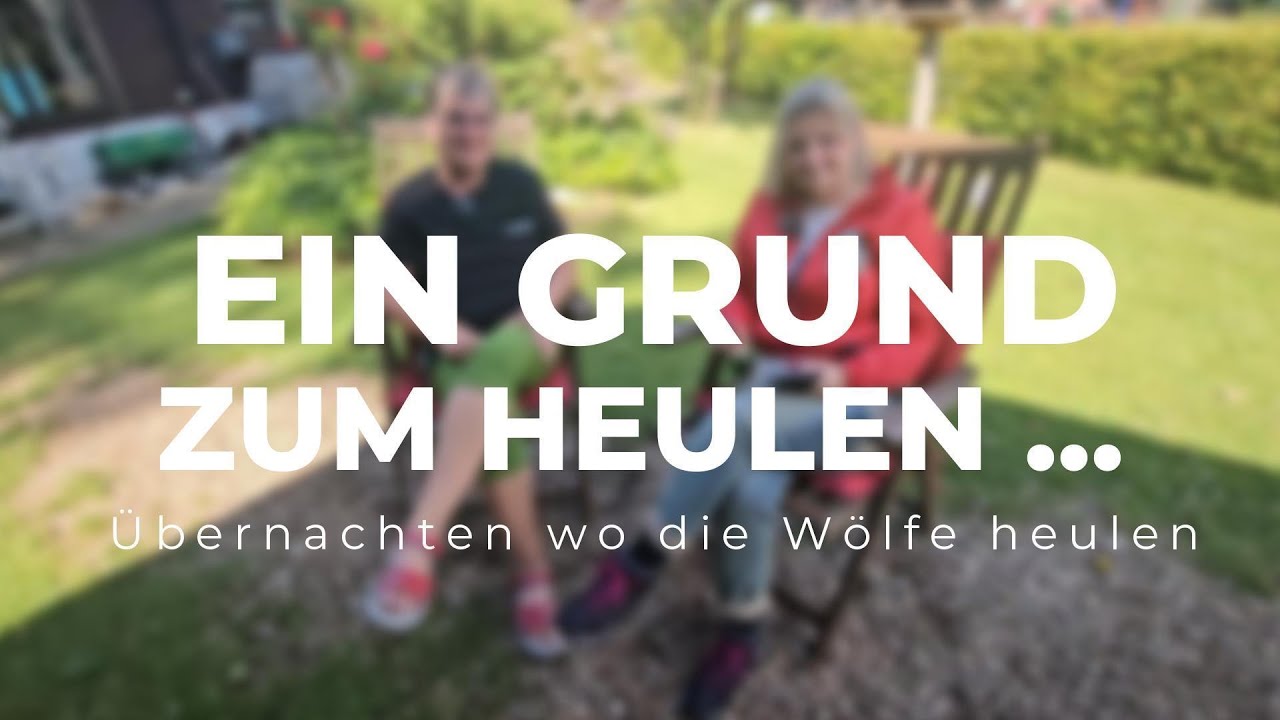 Mein Besuch im Adler & Wolfspark Kasselburg