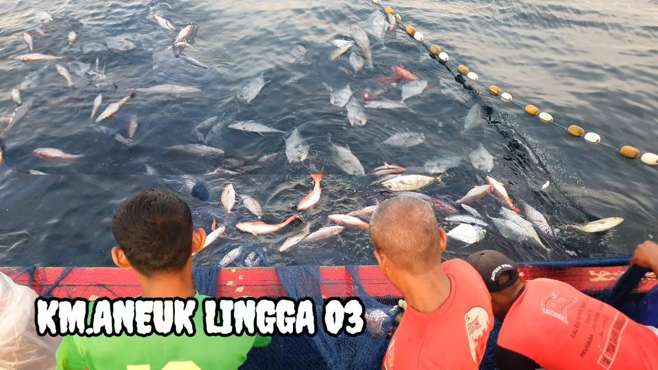 Begini Proses Penangkapan Ikan di Karang Dalam Dari Awal Sampai akhir luar Biasa Hasilnya.