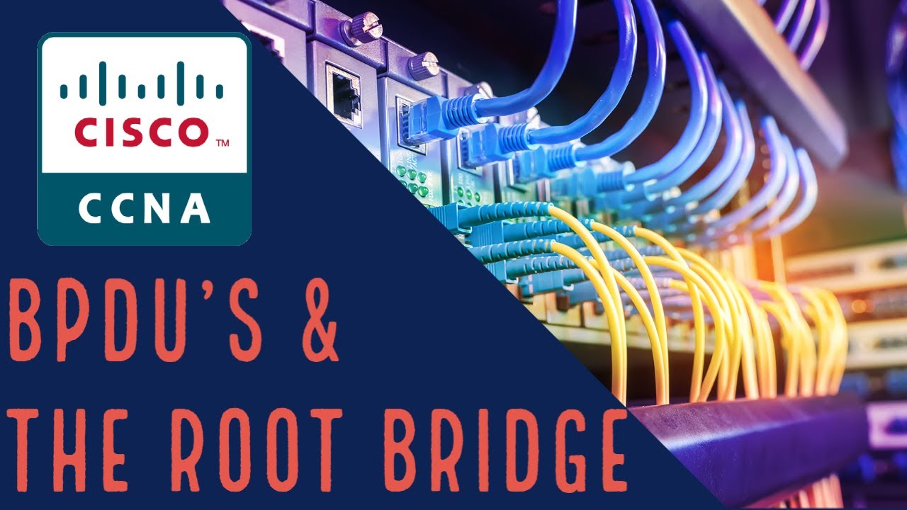 Cisco CCNA — BPDU протокола Spanning Tree и корневой мост