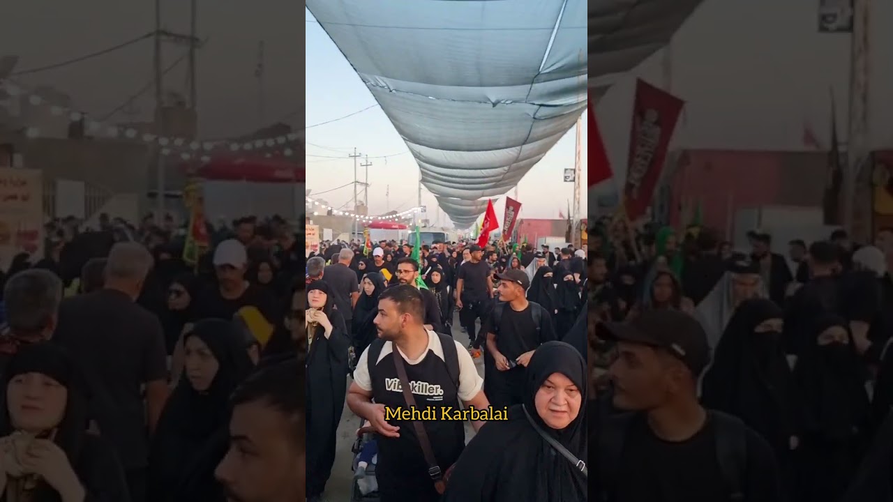 Arbaeen Walk | Najaf to Karbala #2024 #karbala #viral