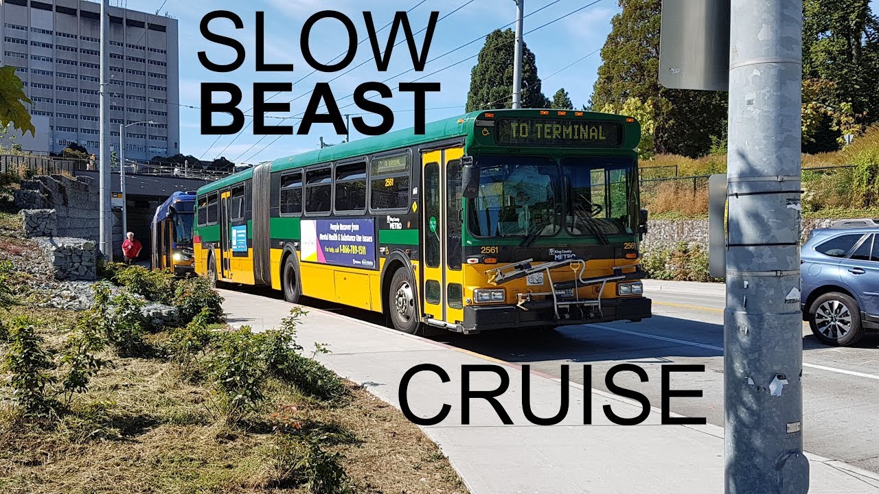 Slow Beast Cruise - King County Metro 1999 New Flyer D60 No. 2561 on line 45