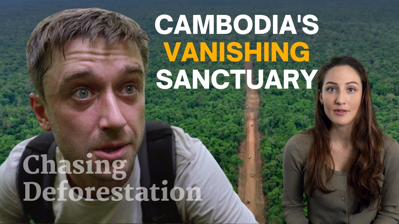 The truth about Cambodia’s Prey Lang sanctuary | Chasing Deforestation