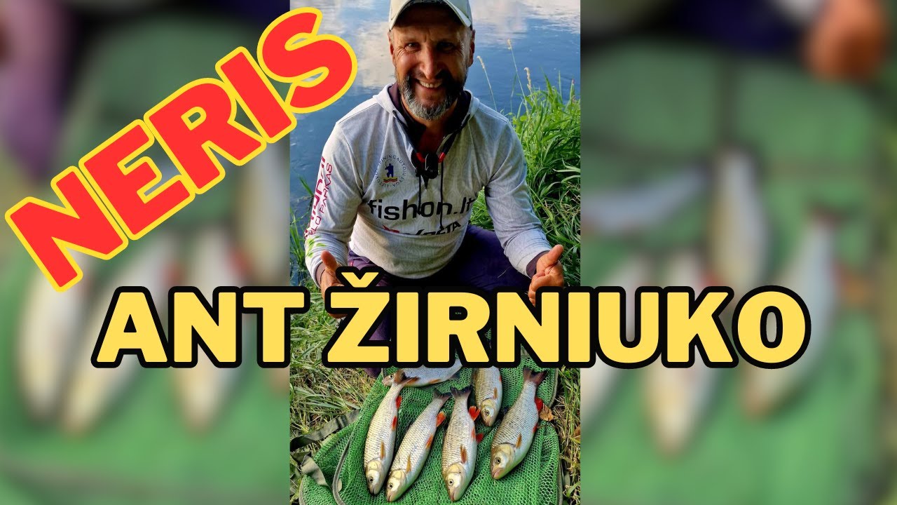 Neris | Ant žirniuko
