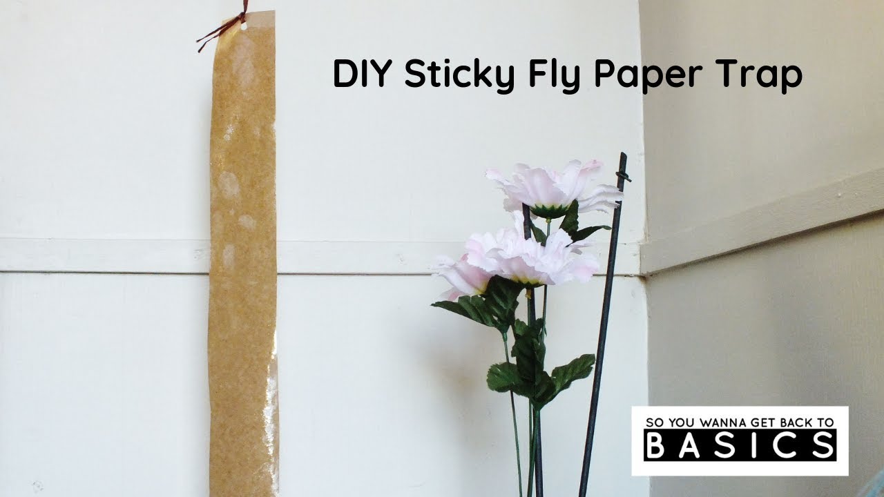 Make&nbsp;your&nbsp;own&nbsp;sticky&nbsp;fly&nbsp;papers&nbsp;to&nbsp;catch&nbsp;house&nbsp;flies!