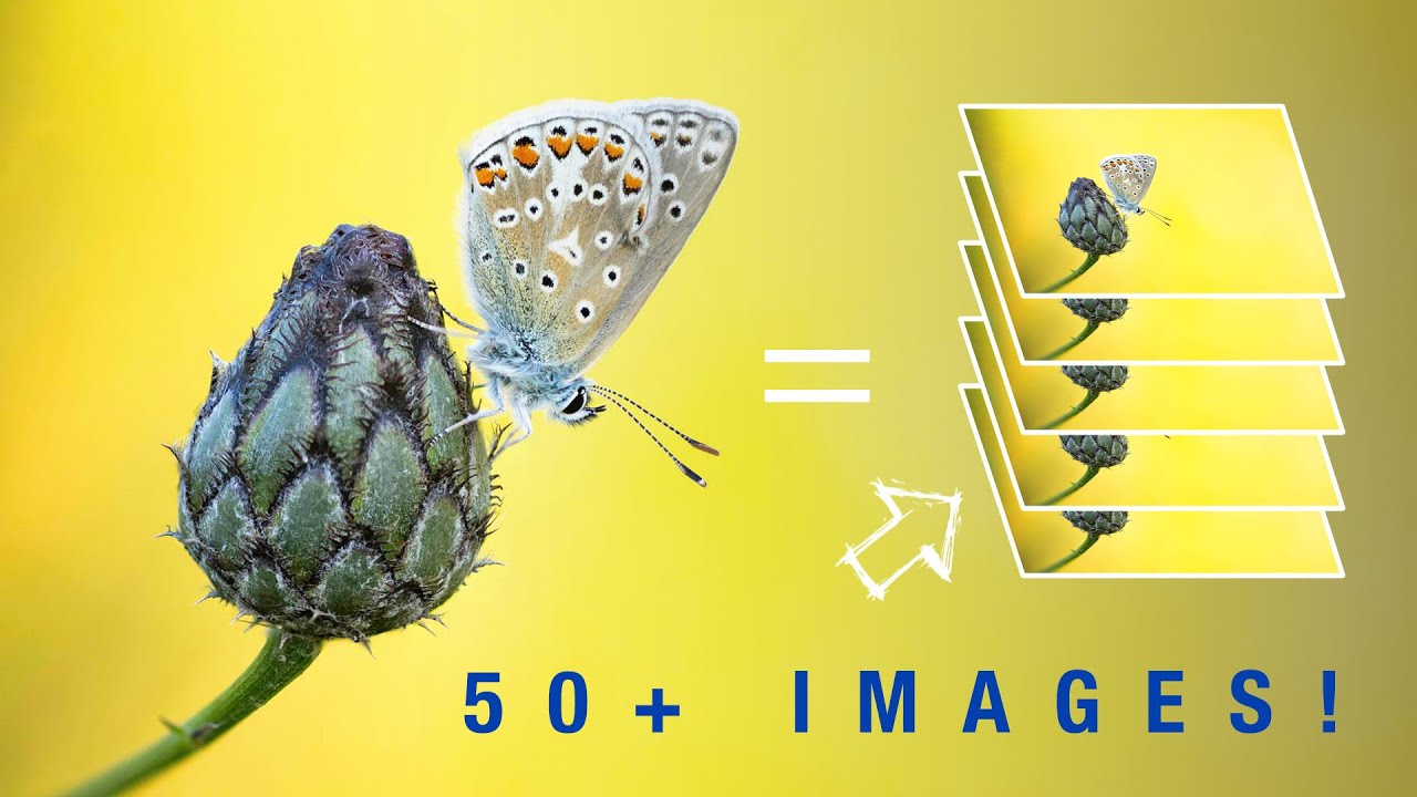 How to MASTER Focus Stacking