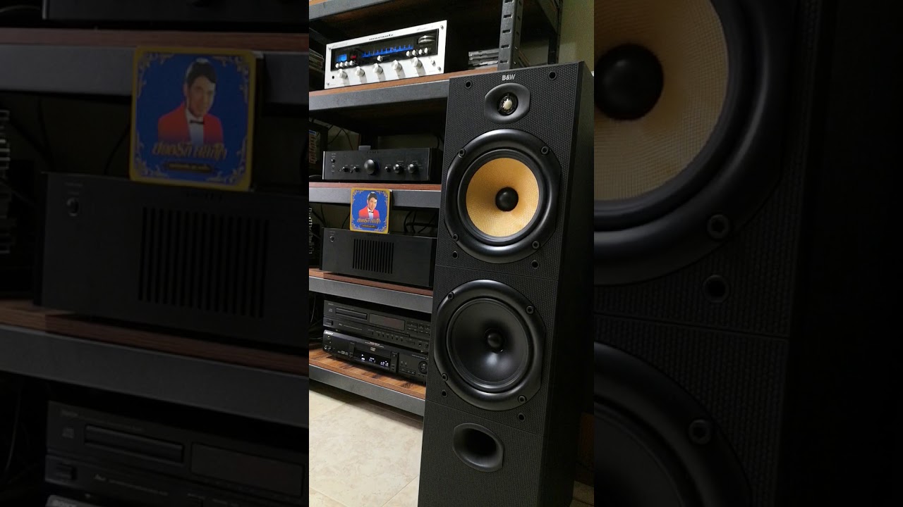 B&W DM​603​ Speaker​
